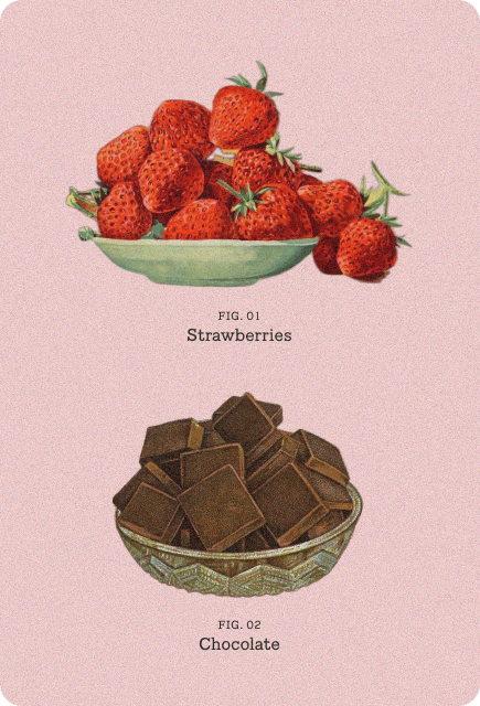 Strawberries and chocolate in vintage-style bowls for making chocolate covered strawberries with Wims.