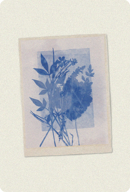 A blue cyanotype sun print featuring layered leaves and delicate wildflowers, creating soft white silhouettes against a deep blue rectangle, styled like a vintage art print on textured paper.