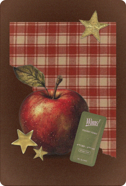 Vintage-style collage of a red apple, Ginger Lime Wims Pocket-Tonic™, gold stars, and a red plaid background, inspired by cozy fall flavors.