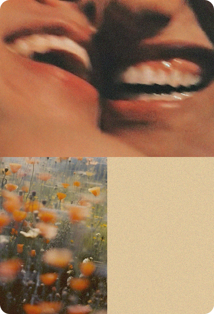 Close-up of smiling faces and sunlit wildflowers, representing a light, uplifting, and easygoing mood.