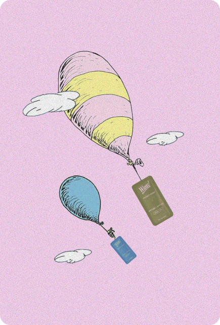 Illustrated hot air balloons floating through a pastel pink sky, each balloon carrying a Wims Pocket-Tonic drink mixer bottle below, with soft clouds and a whimsical, dreamy style.