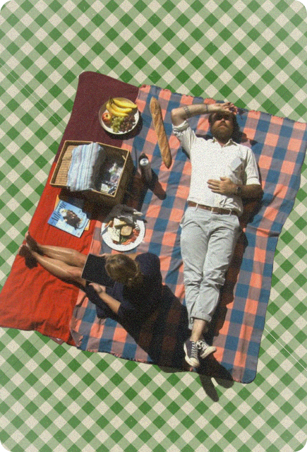 Overhead view of two people relaxing on picnic blankets with a basket of food, fresh fruit, bread, and drinks spread across a green checkered lawn.