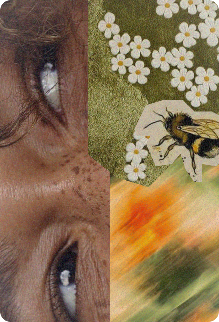 Close-up of a person's eyes alongside a bee and floral collage, representing personalizing beverages to match your mood and desired experience.