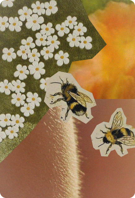 Vintage-style collage featuring two illustrated bumblebees flying among small white flowers on a warm, glowing background, representing the different feelings and experiences that beverages can inspire.