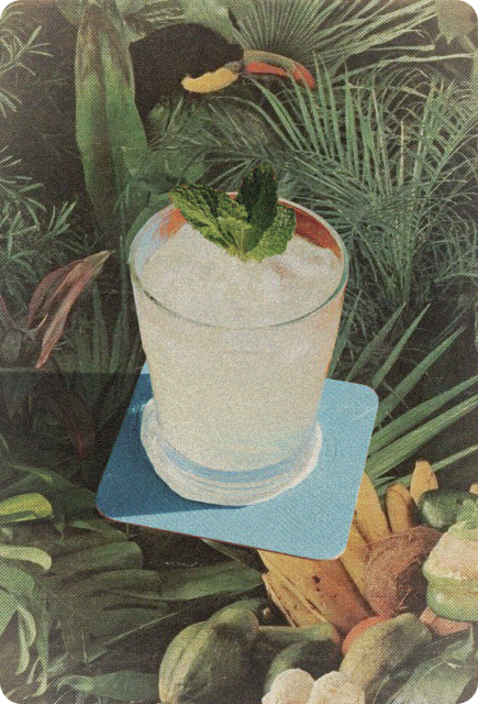 Tropical pineapple and coconut drink garnished with fresh mint, surrounded by lush greenery and citrus fruits, representing the refreshing vacation-inspired feel of the Tropical Garden Cooler with Wims.