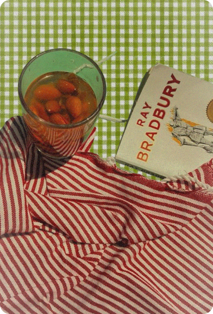 Glass of a refreshing iced drink beside a striped picnic cloth and a book, representing easy outdoor sipping on a picnic.