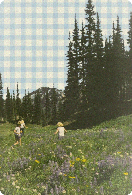 People walking through a sunny wildflower meadow surrounded by evergreen trees, representing a scenic outdoor picnic destination.