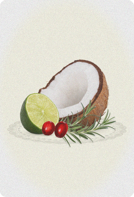 A halved coconut with white flesh sits beside a fresh lime wedge, two bright red cranberries, and a sprig of rosemary, arranged on a delicate lace-patterned surface with a soft, neutral background.