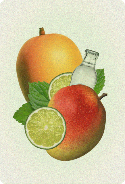 Vintage-style collage of ripe mangoes, fresh lime slices, mint leaves, and sparkling water, representing the fresh tropical flavors of a Mango Mojito.